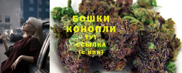 ECSTASY Новодвинск