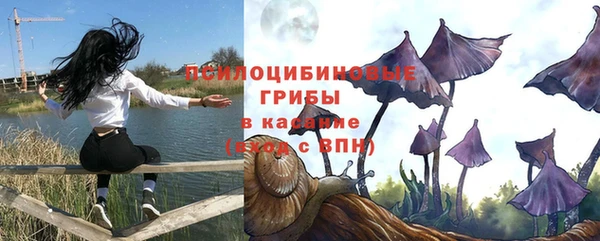 ECSTASY Новодвинск