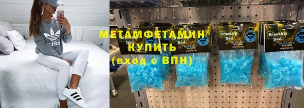 прущие грибы Сафоново