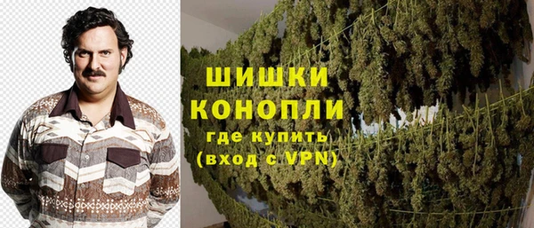 ECSTASY Новодвинск