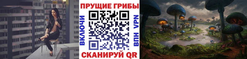гидра маркетплейс  Муром  Галлюциногенные грибы GOLDEN TEACHER  купить наркоту 