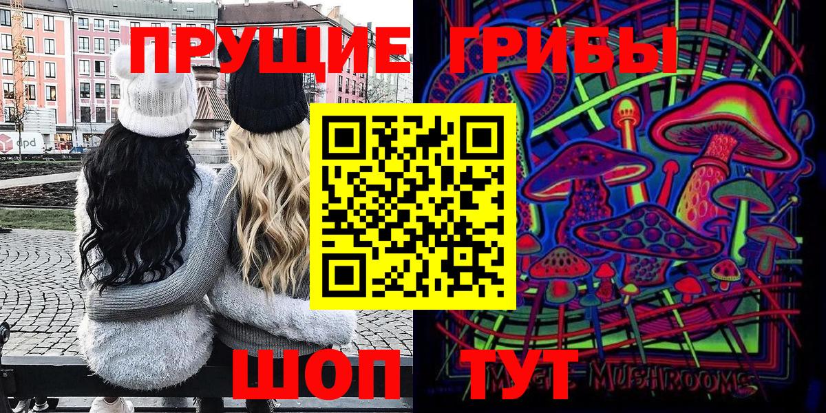 Галлюциногенные грибы Psilocybine cubensis Муром