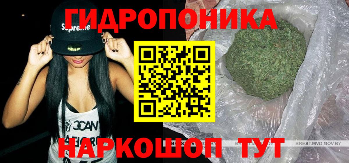 Конопля планчик Муром